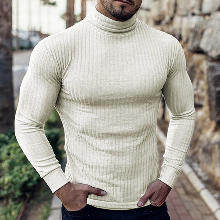 Lucas | Men's Ribbed Turtleneck Jumper Slim Fit