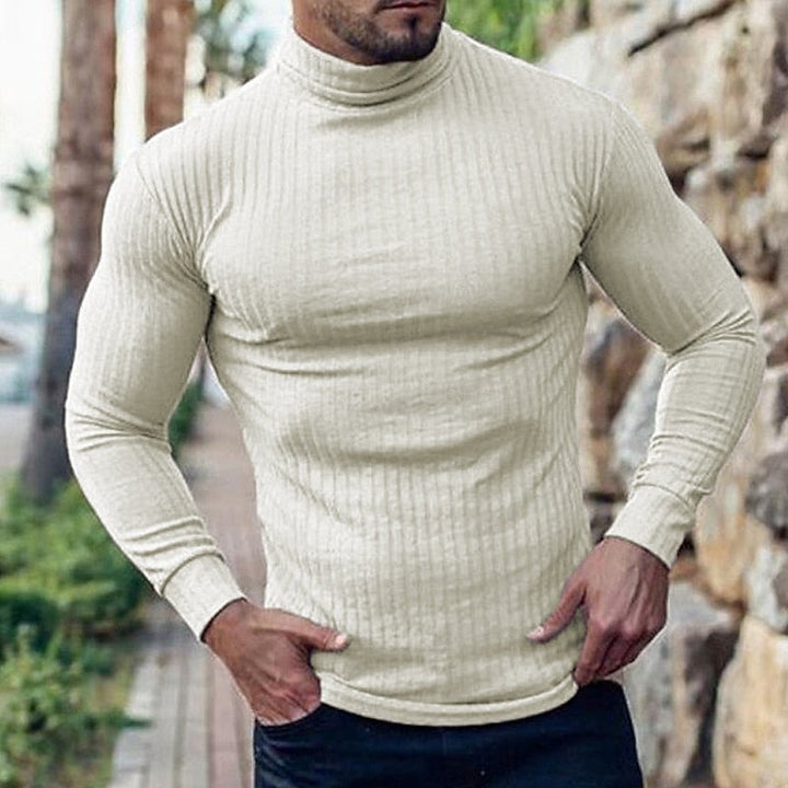 Lucas | Men's Ribbed Turtleneck Jumper Slim Fit